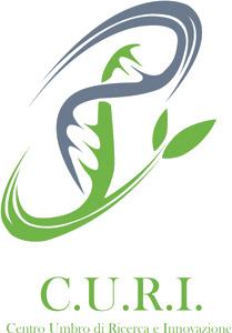 curi logo curi logo